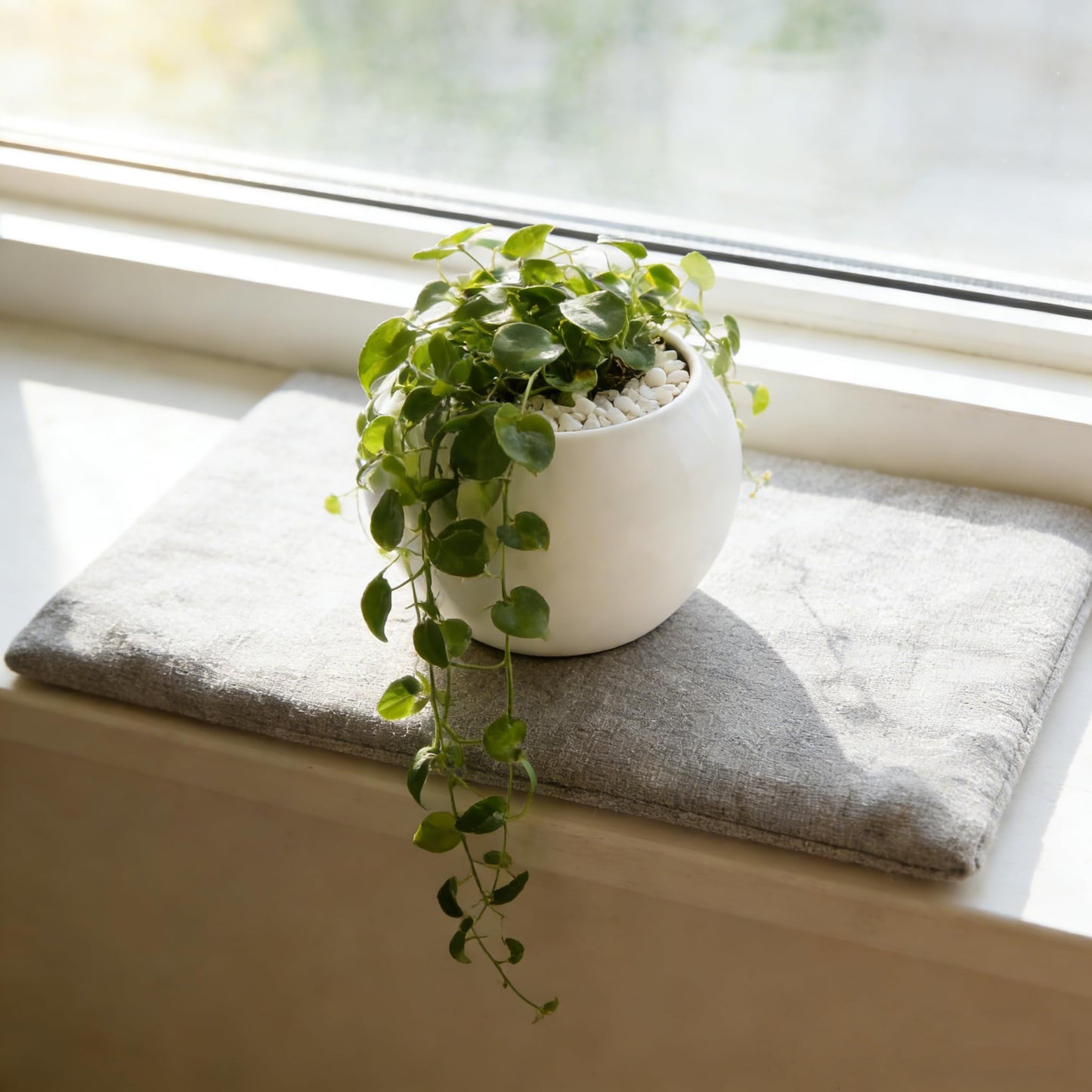 NEONWE White Spherical Ceramic Planter Succulent Small Plant Pots Indoor Modern Round Decorative Indoor-Outdoor Garden Plant Pots with Drainage Holes - Plants Not Included 3.94 x 3.94 x 3.15 Inch
