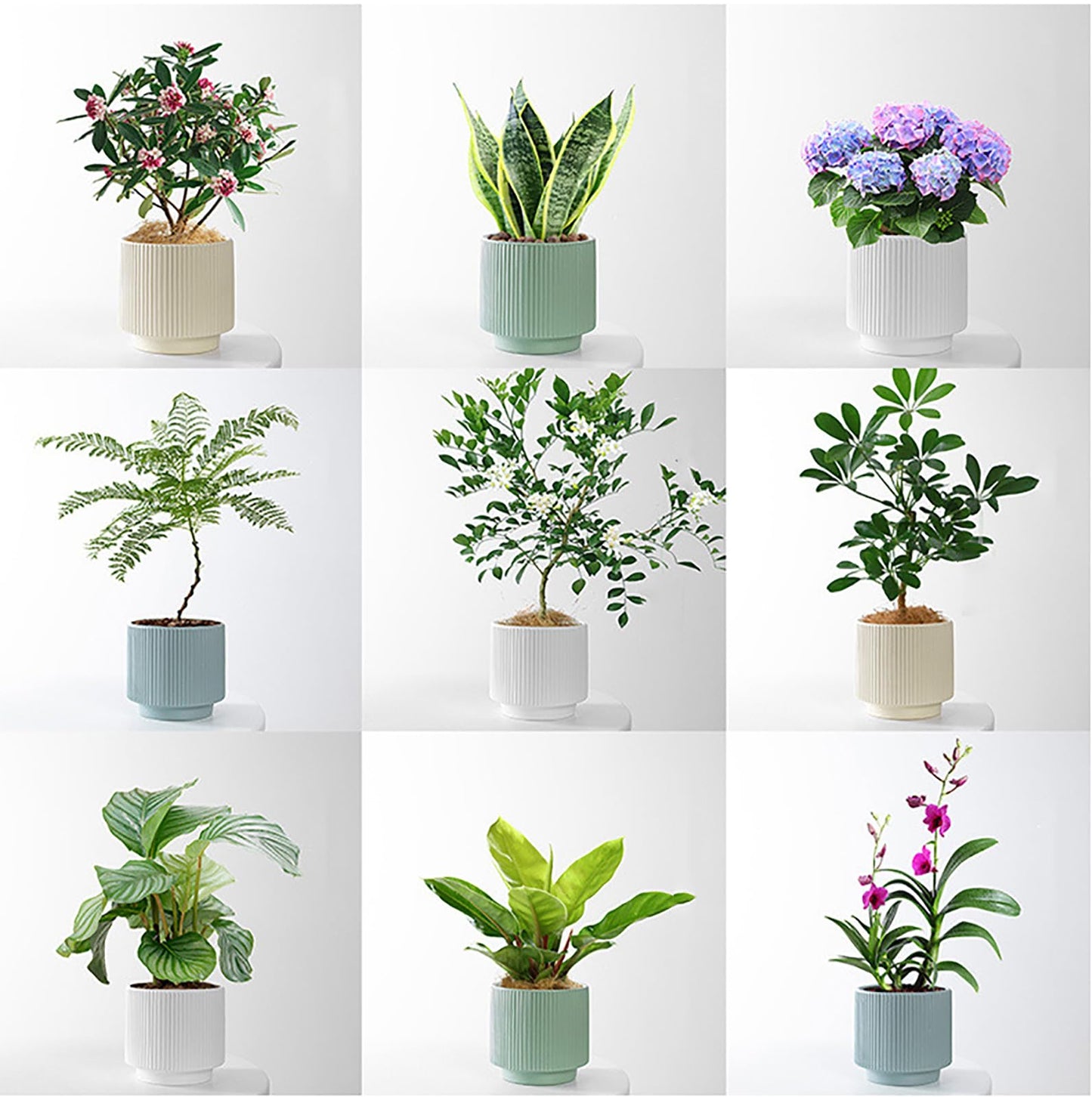 Puoyikt Ceramic 4.9+6.3 inch Planters, Modern Home and Office Flowerpot, Indoor and Outdoor Flowerpot with Drainage Hole (White)