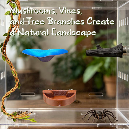 Jumping Spider Accessories, 7-Piece Set with Hidden Glass Sphere Habitat, Cloud Ledges, Tree Branches, and Realistic Moss for Spider Habitats and Terrarium Decorations (7, Orange)