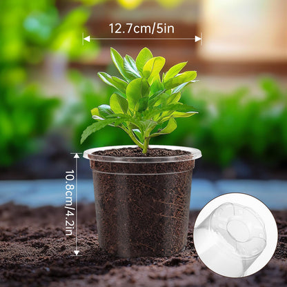 WandaQueen 30 Packs 5 Inch Reinforced Clear Nursery Pots for Plants with Drainage Holes, High Transparency Plastic Seedling Plant Pot with 20 Labels