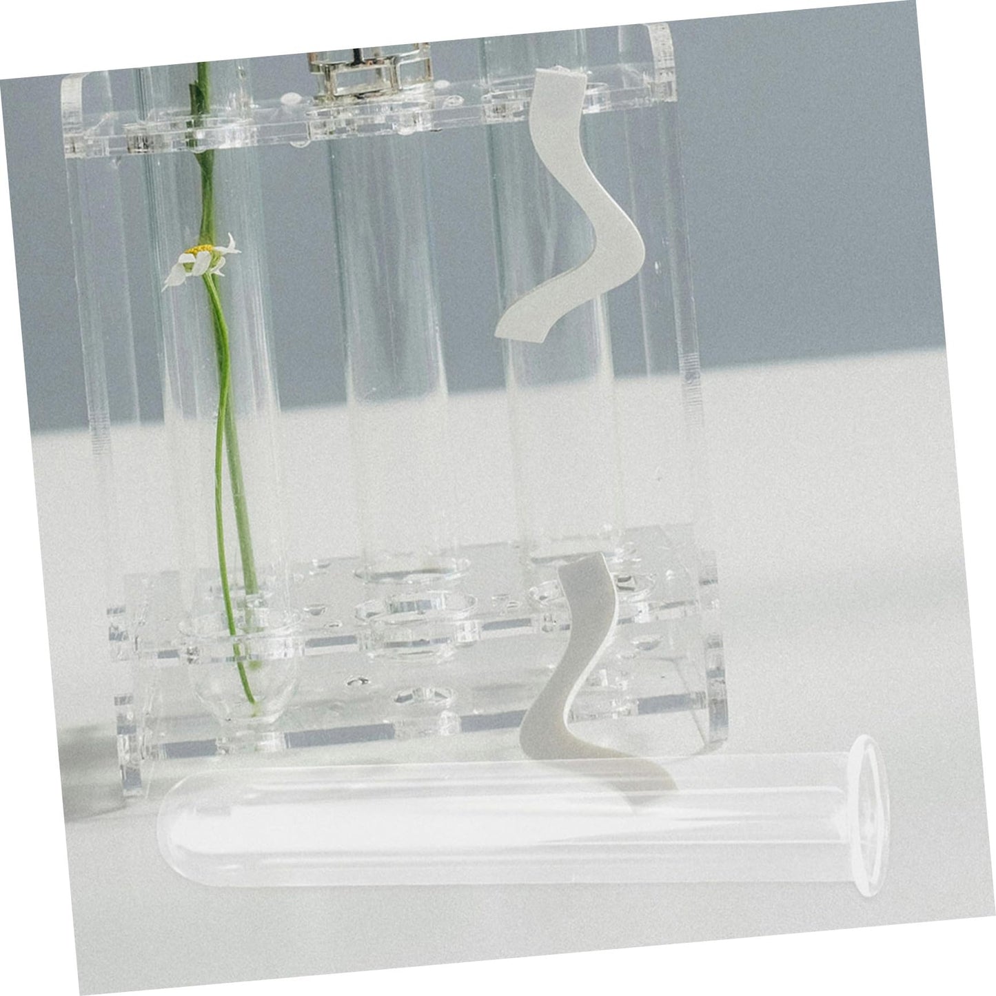 HEALEEP Glass Test Tubes for Plant Propagation 5pcs 2.5x3x15cm Hydroponic Floral Vase Glass Tubes for Small Terrarium Plants and Home Décor