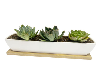Kipokalor Rectangular Succulent Planter Pot,Two Set of 11.1x2.36x1.77inch Long Rectangular Modern Minimalist White Ceramic with Saucer for Office,Desk,Window. (Bamboo Saucer, Two Set)