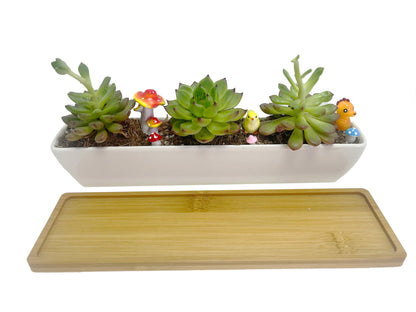 WISH HALLY WOOD 11inch Long Rectangle White Ceramic Succulent Planter Pots/Mini Flower Plant Containers with Bamboo Saucers. Product Size:11x2.23x1.69inch,not Include The Plant. (Long Rectangle)