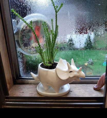 zmgmsmh Ceramic Succulent Plant Pot Cactus Plant Pot Flower Pot Container Planter with Drainage Hole Home Office Desk Garden Gift Idea Animal Shaped Flower Pot Cute Vase Pot (4pcs Dinosaur)