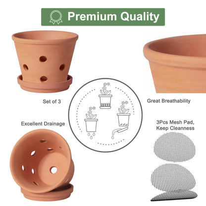 6 Inch Terracotta Orchid Pots with Holes, Saucers - 3 Pack Clay Orchid Planter Pots for Repotting, Small Terra Cotta Pot, Indoor & Outdoor, Promotes Air Circulation