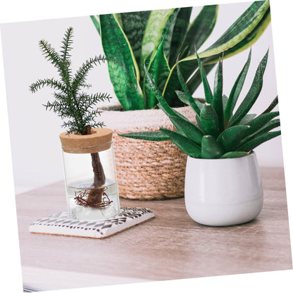 MAGICLULU Plant Pots Succulents Terrarium Glass Holder Flower Arrangement Vase Decor Office Flower Pot