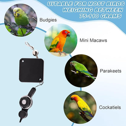 Retractable Bird Harness and Leash, Parrot Harness with Wing Design, Anti-Bite Bird Flight Training Rope for Budgies, Cockatiels, Mini Macaws (Blue)