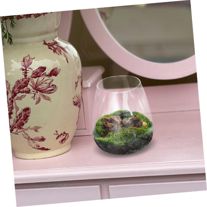 Abaodam Glass Terrarium Bottle for Home Decor Unique Hydroponic Vase for Air Plants Elegant Miniature Garden Centerpiece for Weddings and Parties Sustainable Glass Design