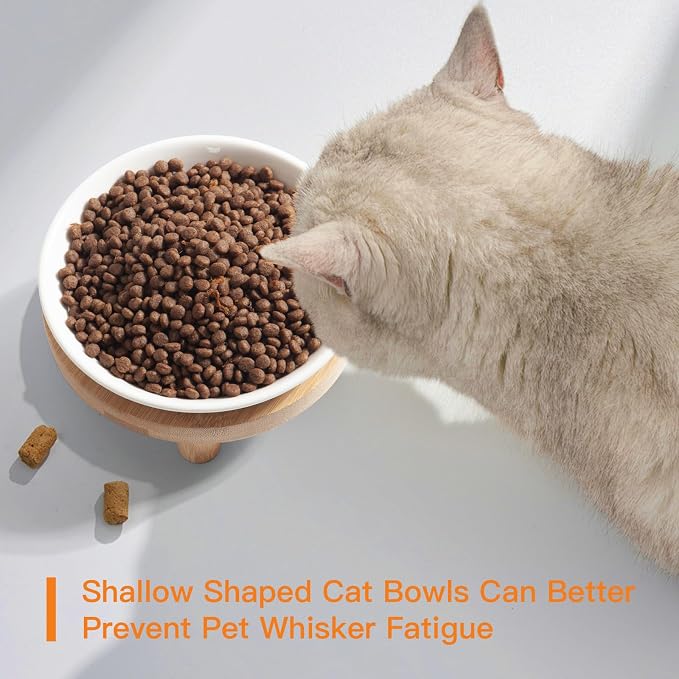Shallow Elevated Cat Bowls, 2, White (Fish Bone), Bamboo Stand | 5.9 Inch Wide, Ceramic Dishes, Whisker Friendly, Raised Pet Food, Adjustable