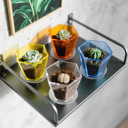 HappyDino Clear Plant Pot with Drainage Acrylic 6 inch Plant Pot Small Indoor Planter Box Outdoor with Saucer for Succulent, Decorative and Sturdy