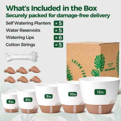T4U 5 Pack Self Watering Pots (6"+8"+9"+10"+12") - Water Level Indicator & Deep Reservoir, Mess-Free Planters for Busy People, Beginners & Gardeners, Fit Most Plants, Indoor Outdoor Use (White)