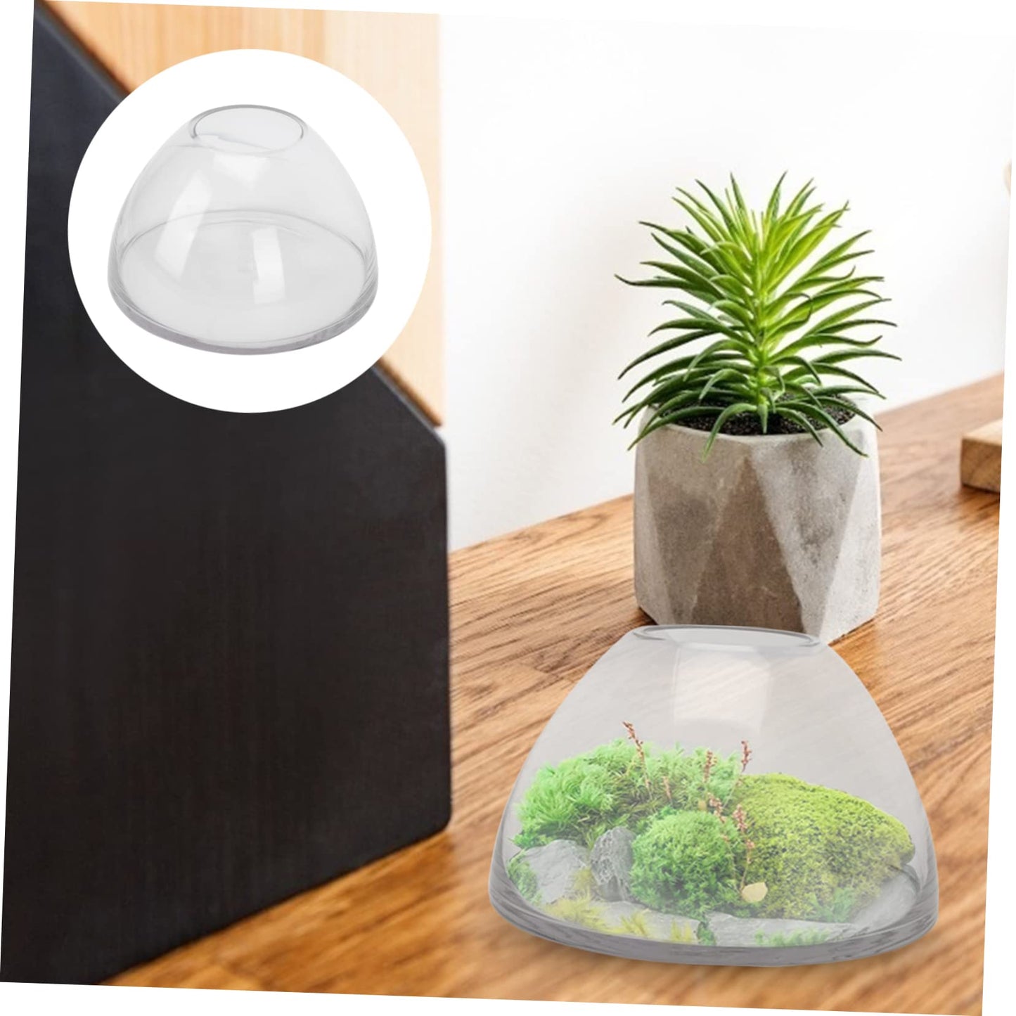 FONDOTIN Micro Landscape Bottle for Home Decor Borosilicate Glass Terrarium Holder Decorative Plant Ecosystem Container for Small Indoor Plants