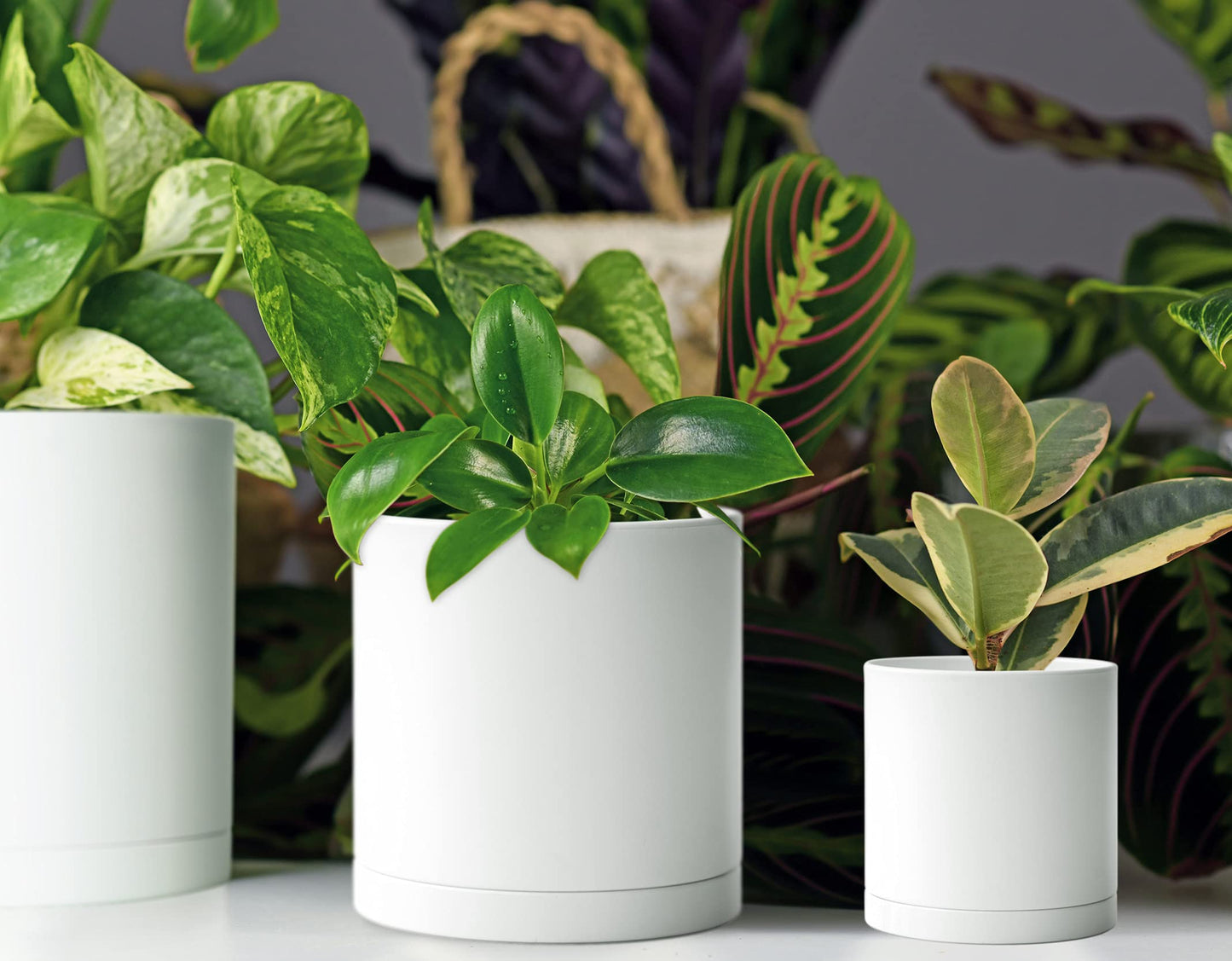 D'vine Dev Pack of 10 Plastic Plant Pots (2 Set of 6 Inch, 5.5 Inch, 5 Inch, 4.5 Inch, 4 Inch) Small Planter Pots for Plant with Drainage Holes and Saucers, White, 74-R-A