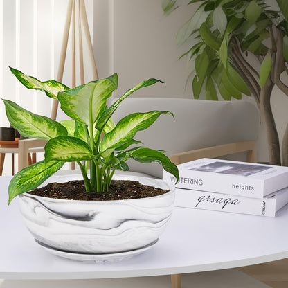 G EPGardening 10Inch Large Planter Marble Pattern Ceramic Succulent Planter Big Plant Pot Succulents Container Flower Pot Indoor Outdoor Decor (Plants Not Included)