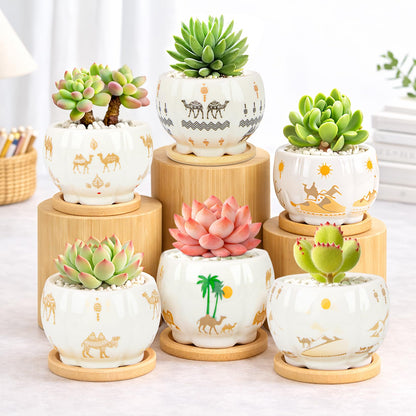 Succulent Pots - 3.1 Inch Small Plant Pots with Drainage Tray, Ceramic Flower Pots for Indoor Plants, 6 Pack Succulent Planters for Cactus Plants, Home Office Decor