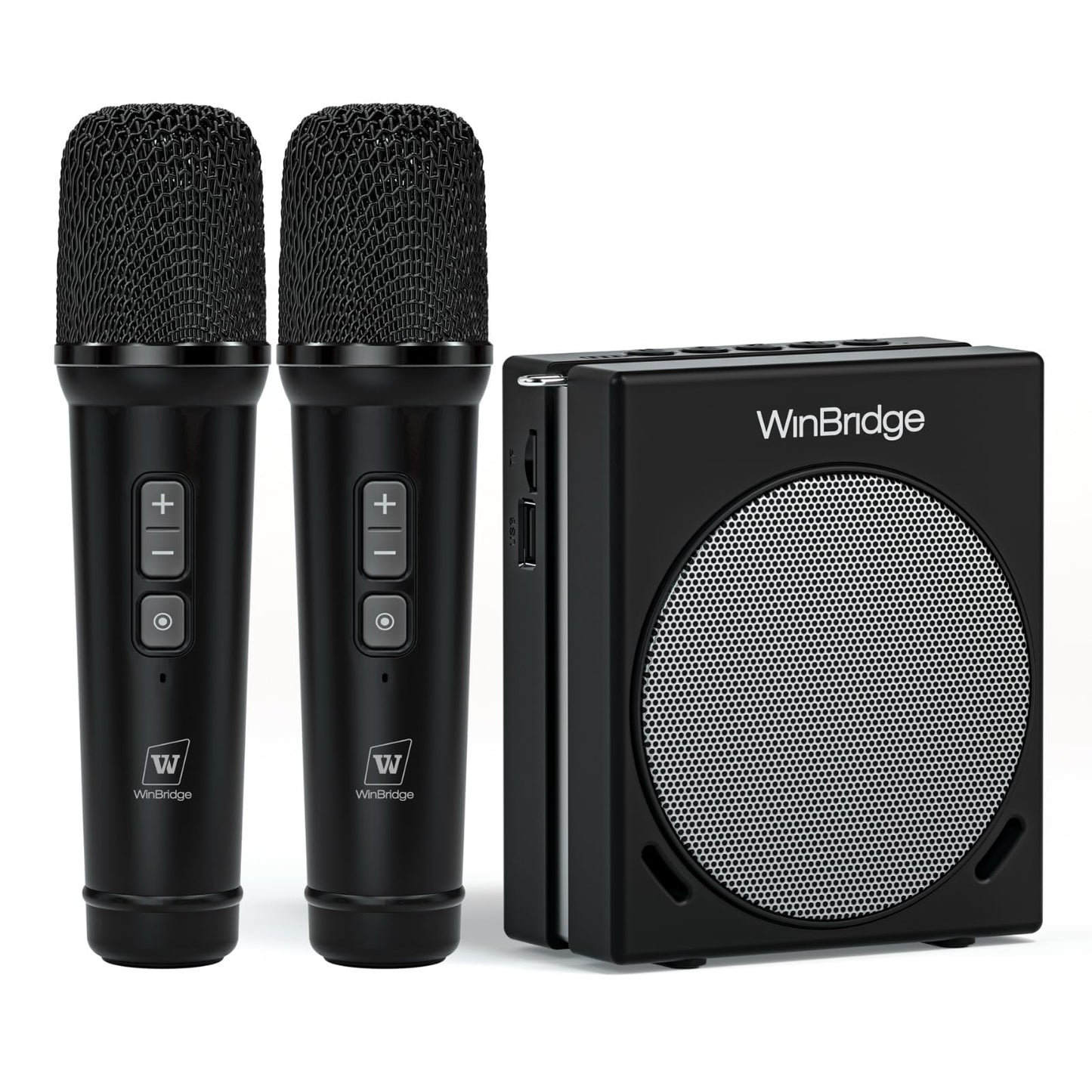 WinBridge Voice Amplifier for Teachers, Portable PA System for Public Speaking, Bluetooth Speaker with 2 Microphones for Classroom, Karaoke, Event Hosts, 30W DSP, BT/USB/TF/AUX - Black, S90