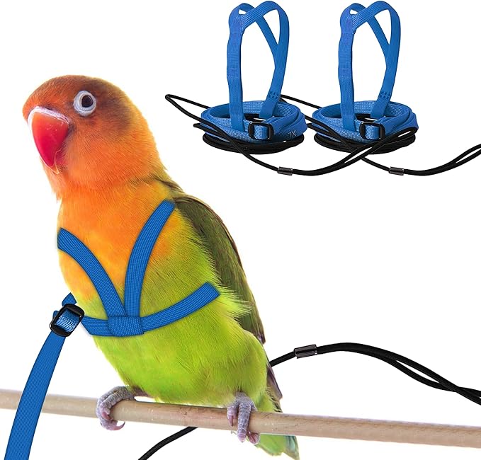 2 pcs Pet Parrot Bird Harness and Leash, Adjustable Training Design Anti-Bite, Outdoor Flying Training Rope Kit for Bird Parrots Fits Birds Chest Between46-76cm /18.11-29.92inch - XL (Blue)