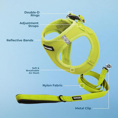 Best Pet Supplies Voyager Step-in Air All Weather Mesh Harness and Reflective Dog 5ft Leash Combo with Neoprene Handle, for Small, Medium and Large Breed Puppies - Lime Green, Large