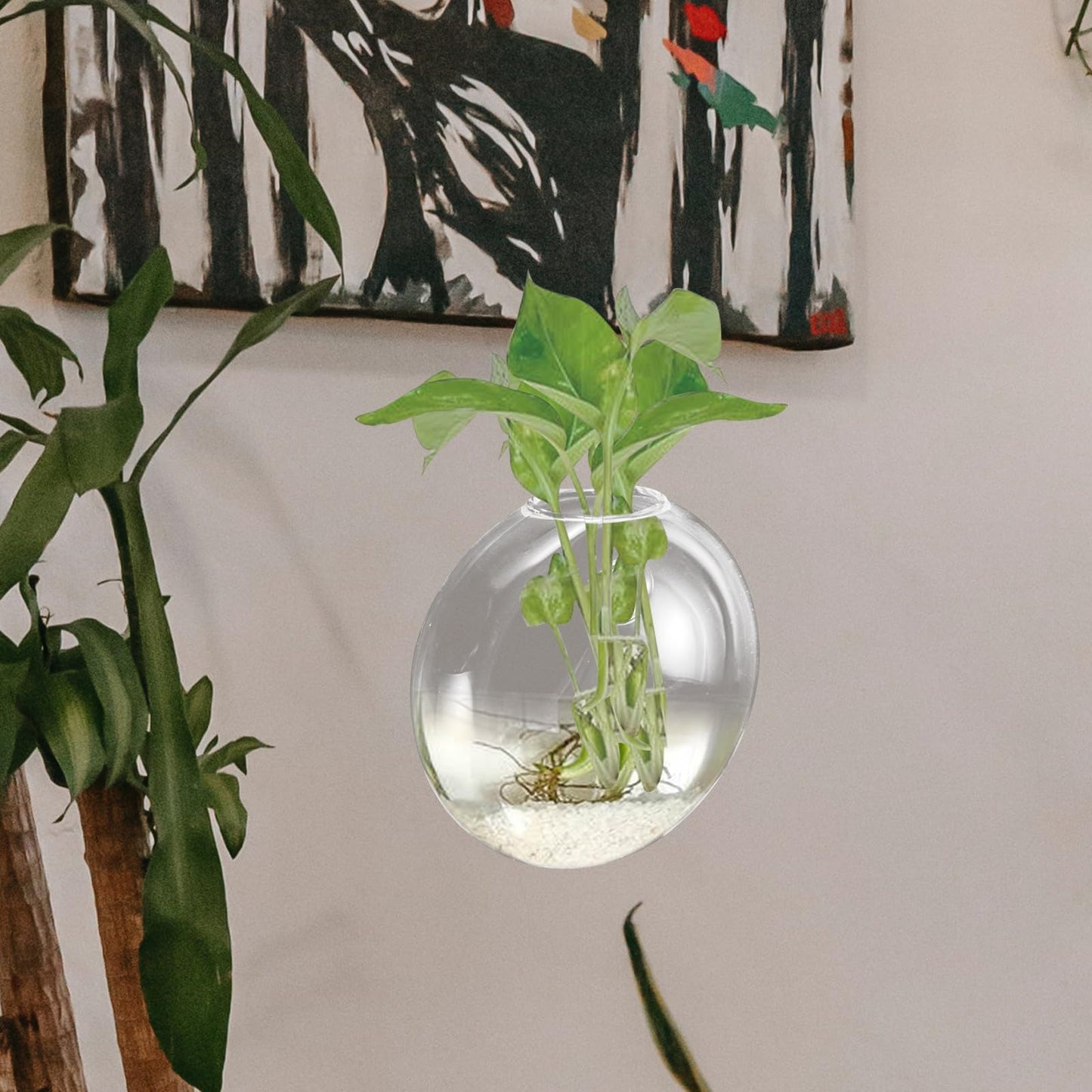 CONGARTENO Wall Mounted Hydroponic Planter Glass Vase, Small Hanging Terrarium Vase for Indoor Plant Propagation, Decorative Wall Pot for Home Décor