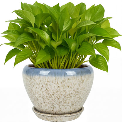 Deep Dream 6 Inch Plant Pots- Ceramic Planter Pot with Drainage Hole and Saucer, Round Flower Pot for Indoor Outdoor Succulent, Snake Plants and Cactus, Beige&Blue