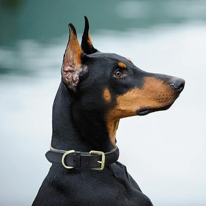 Mile High Life Genuine Leather Dog Collar, Heavy Duty Canvas Collar with Adjustable Metal Pin Buckle for Small Medium Large Dogs (Black, L Neck 17"-21")
