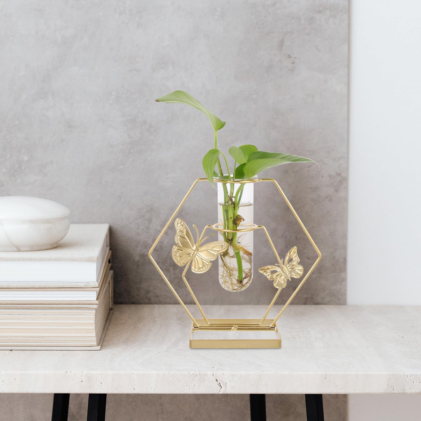 OSALADI Metal Framed Glass Plant Terrarium Vase with Butterfly Pattern, Hexagonal Decorative Flower Holder for Desktop Home Décor and Tabletop Display