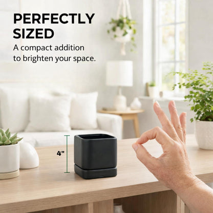 Lucky Winner Solid Cube Ceramic Planter Pot with Drain Hole- Unique Minimal Square Plant Pot for Indoor Outdoor Home Garden Decor (Black, 4")