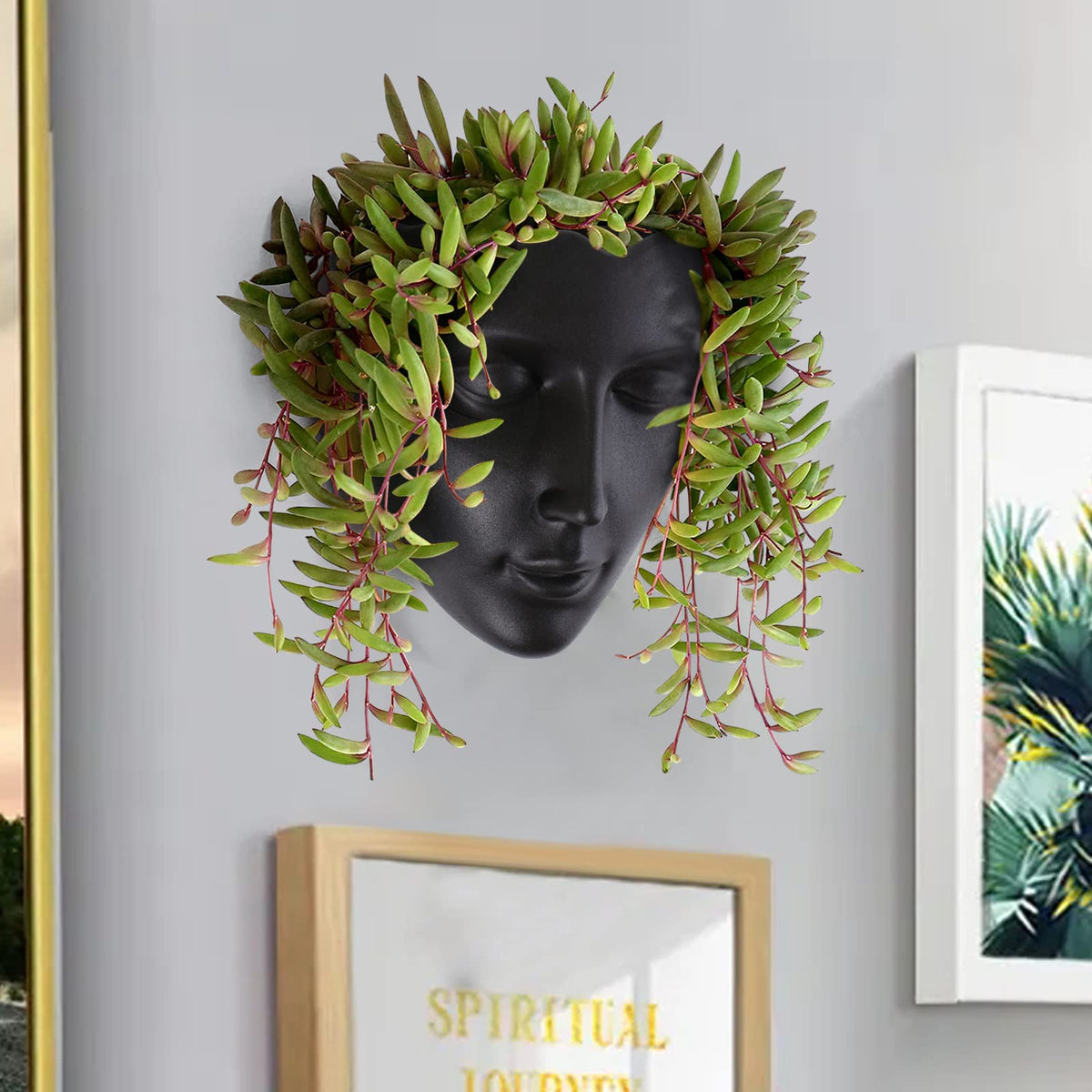 Notakia Face Planter Pot Wall Mounted Outdoor/Indoor Planter with Drainage for Succulents, Cactus, and Small Plants Unique Home Decor Gift for Friends and Family (Black)