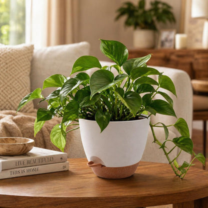 TYMENSH Plant Pots 12/10/9 inch Set of 3, Self Watering Flower Pots Indoor Outdoor, Planters with Drainage Hole Saucer Reservoir, White