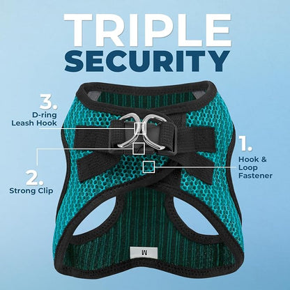 Best Pet Supplies Voyager Step-in Air All Weather Mesh Harness and Reflective Dog 5ft Leash Combo with Neoprene Handle, for Small, Medium and Large Breed Puppies - Set (Turquoise 2-Tone), X-Small