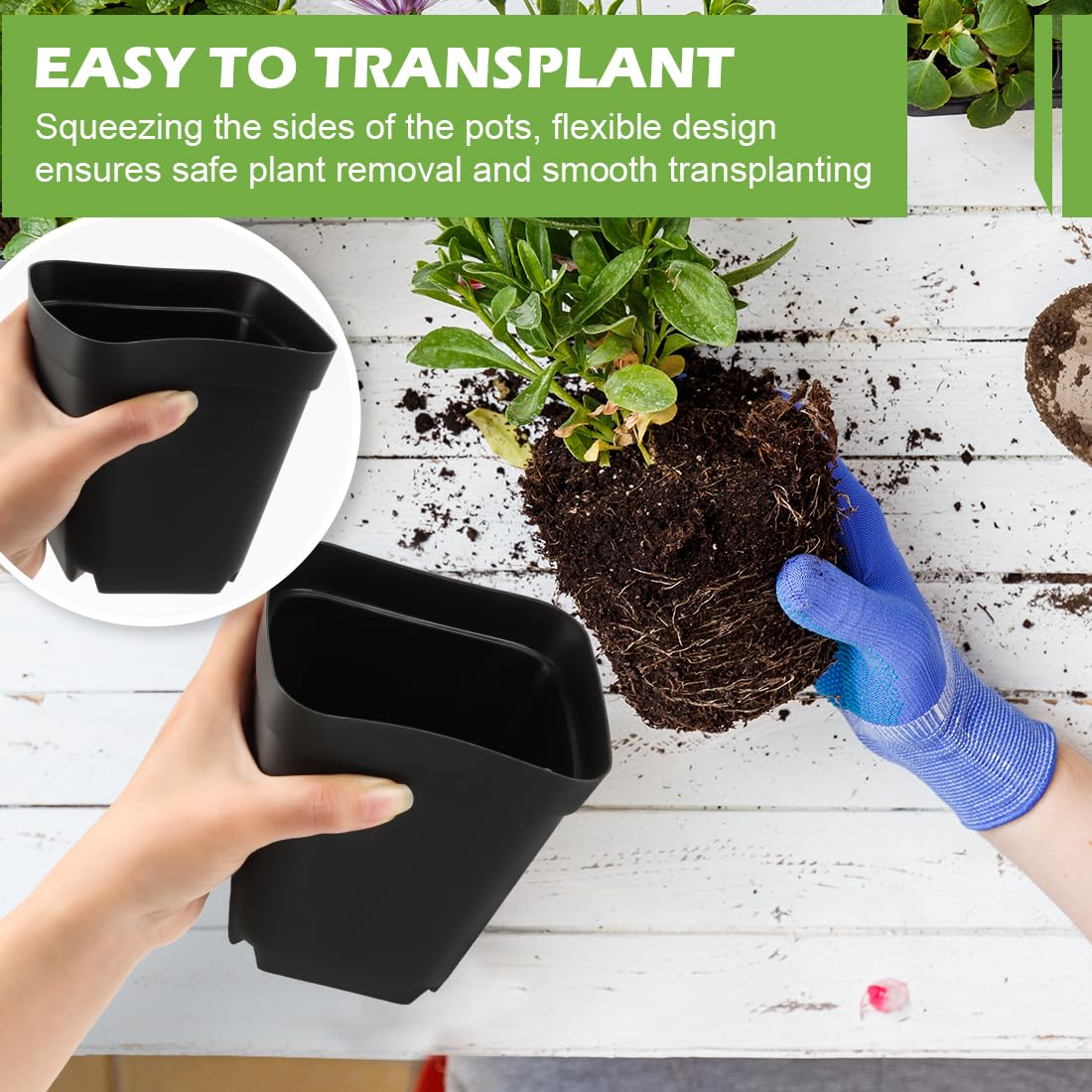 RooTrimmer Square Nursery pots 4 Inches 60Pcs, Seedling Plastic Seeds propogation Growing Pots (Black,4Inches,60Pcs)