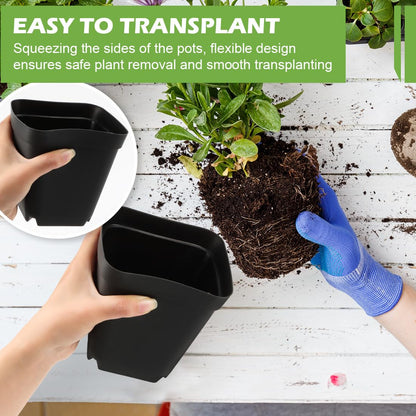 RooTrimmer Square Nursery pots 4 Inches 60Pcs, Seedling Plastic Seeds propogation Growing Pots (Black,4Inches,60Pcs)