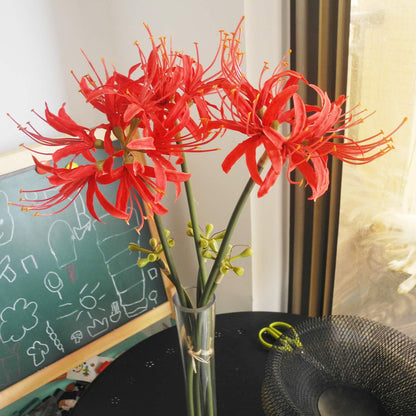 Calcifer 3 Stems Red Spider Lilies Artificial Flowers Lycoris Bulbs (Red)