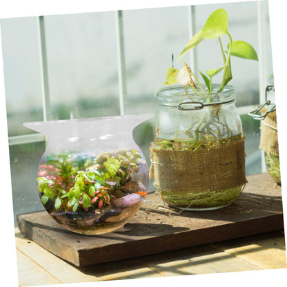 BAZEITFLOW 2pcs Glass Vase for Hydroponic Plants Decorative Desktop Flowerpot Modern Terrarium Centerpiece for Home Office Decor for Plant