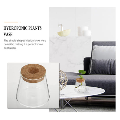 SOLUSTRE 2pcs Glass Hydroponic Plant Vases with 6.5cm Opening, Glass Terrarium for Water Propagation, Small Desktop Home and Office Garden Decoration