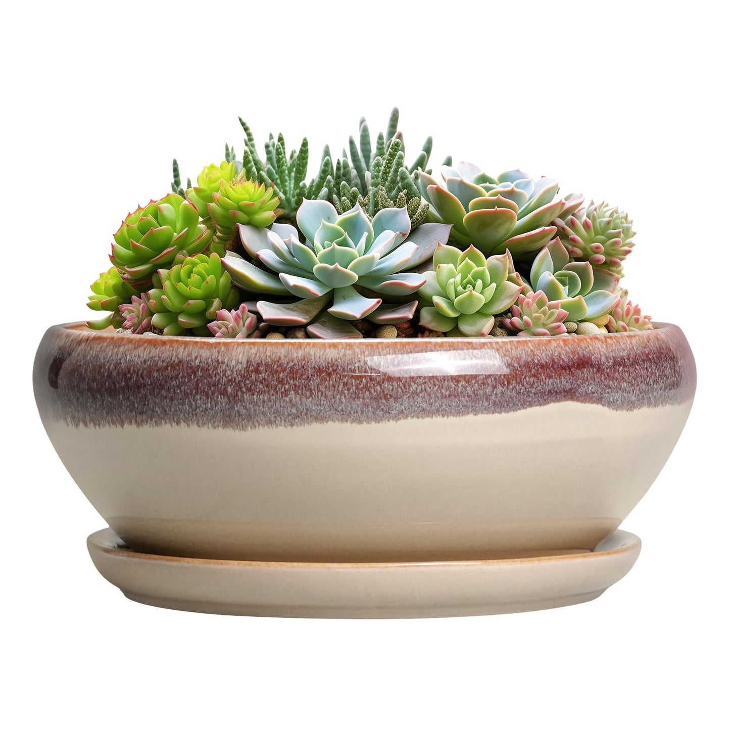 SQOWL Succulent Pots 8 Inch - Ceramic Bonsai Pots for Indoor Plants, Round Shallow Plant Pot with Drainage Hole and Saucer, Bowl Planter Outdoor, Patio Decor, Plant Lover Gifts, Beige