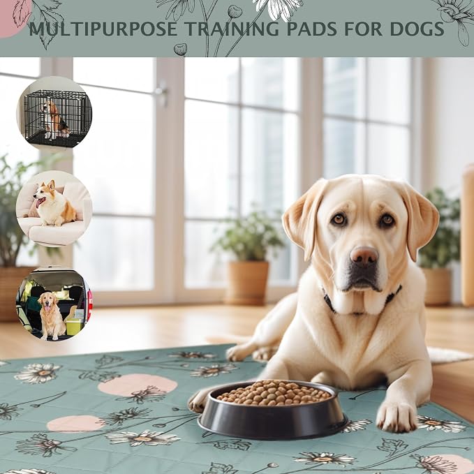 IEUUMLER Washable Pee Pads for Dogs, 2 Pack Non-Slip & Waterproof Pack Whelping Pad, Reusable Washable Puppy Potty Training Pad with Fast Absorbent for Playpen EU007 (Green Daisy, 30"X34"-2pcs)