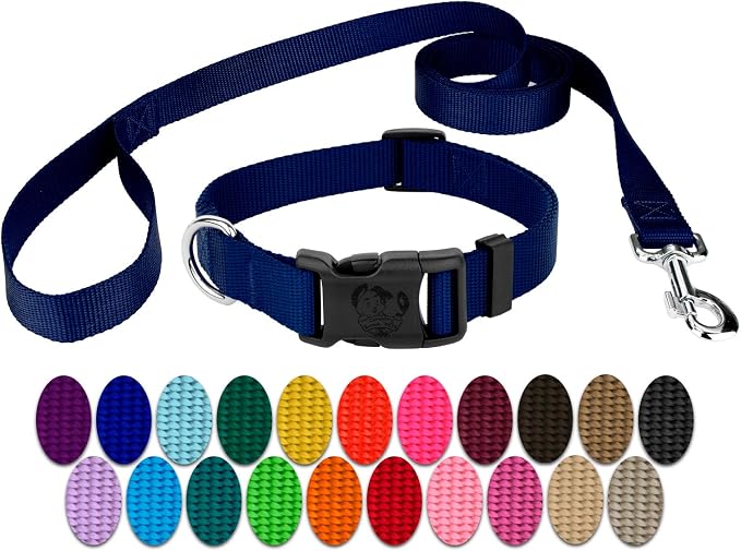Country Brook Petz - Deluxe Nylon Dog Collar and Leash - 10+ Cool Colors (3/8 Inch, 2XS, Royal Blue)