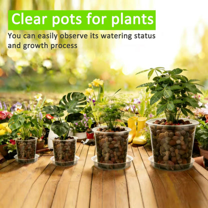 Frukwoc 4 Inch Clear Nursery Pots with Saucers 20 Pack, Plastic Flower Pots with Drainage Holes