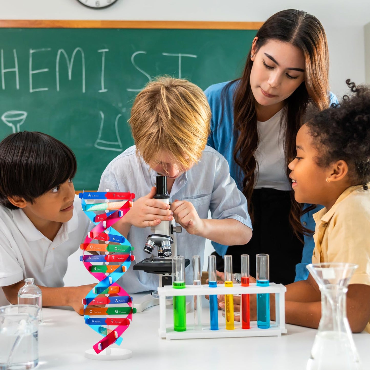 NUOBESTY Educational DNA Double Helix Model Kit for Kids Interactive Biology Science Toy for Hands-on Learning 14.56 Inch DNA Structure Teaching Aid for Classroom and Home