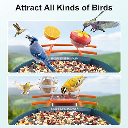 birdsnap® PAV-Bird Feeder with Camera,2K HD with 64GB Card, AI Identify Smart Bird House Cam Solar Panel,Live Stream,Motion Detection,Auto Record Video for Backyard Outdoors,Ideal Gift for Bird Lover