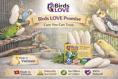 Birds LOVE 5.5-6″ Cuttlebone for Birds – 100% Natural Sun-Dried Calcium & Beak Conditioning Supplement for Parakeets, Budgies, Cockatiels, Finches & Canaries – 2 Pack with Holder – Made in Vietnam