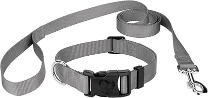 Country Brook Petz - Everyday Nylon Dog Collar and Leash - 10+ Cool Colors (3/4 Inch, Medium, Silver)