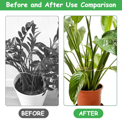 5 Pcs Plant Stem Support, Iron Monstera Plant Support, Durable Hook Stem Supports for Healthy Growth, Bamboo Clamp Set for Leaf Stabilization and Support, Ideal Present for Plant Lovers (6.25IN*7IN)