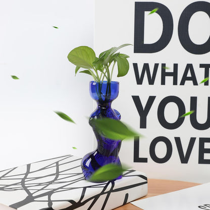 CYZglass Propagation Vases for Plants Plant Propagation Jars Unique Body Avocado Vase Glass Planter Perfect for Seed Starting Water Rooting and Home Decor Gift for Father