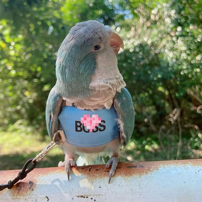 Bird Flight Harness Vest, Parrot Flight Suit with Leash, Bird Flying Clothes with Rope and Handle for Outdoor Activities (S)