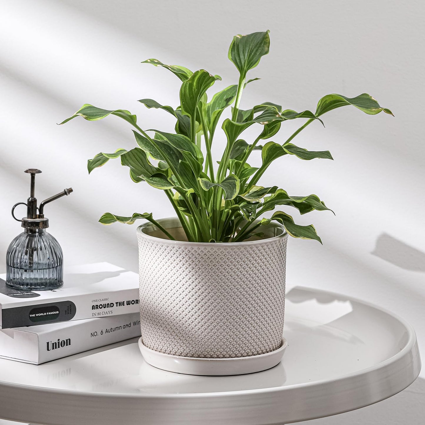 Chubacoo 8 Inch Plant Pot: Ceramic Planter with Drainage Hole & Saucer Indoor Outdoor Plants - Flowerpot with Bonded Tray for Home Office - Beaded Embossed Style, Cream White