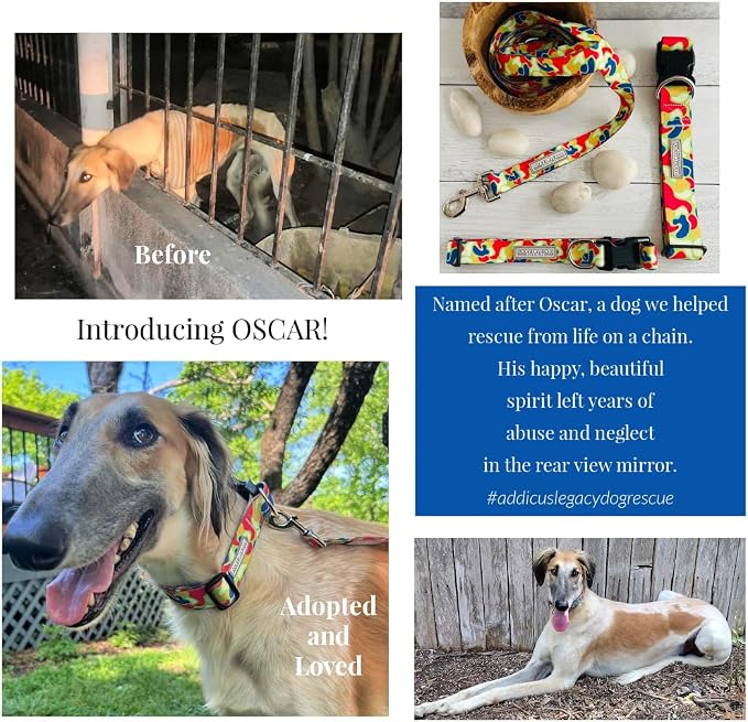 Lucky Love Dog - Adjustable Dog Collar and Leash Set with Easy Click Buckle for Medium Dogs, Durable, & Comfortable Collar for Male & Female Dogs, Puppies & Adult Ones - Oscar Combo, Medium