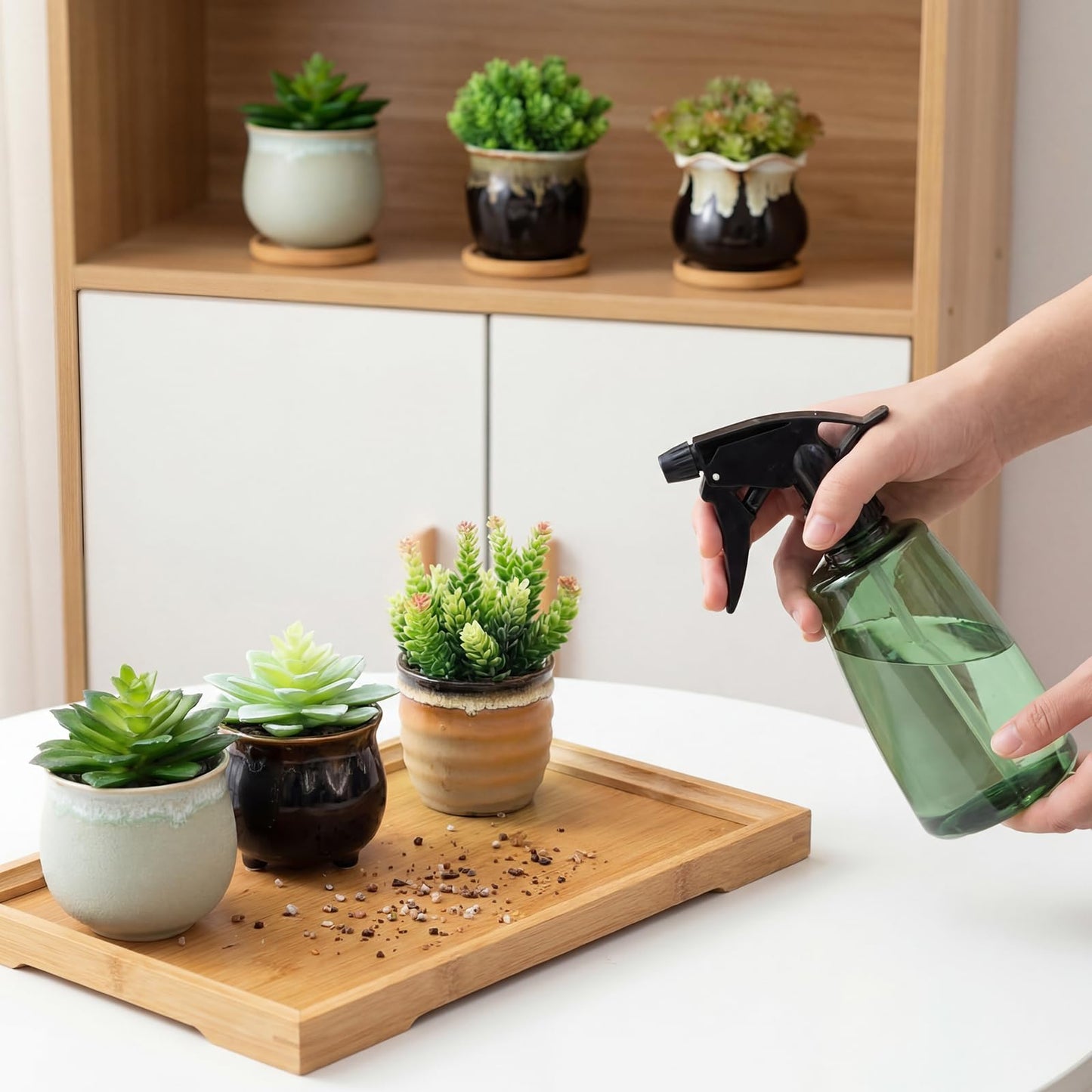 Remerry 6 Pcs Small Succulent Pots Bulk with Drainage Assorted 3.5 Inch Mini Ceramic Succulent Planters Pot with Coaster Bamboo Plant Tray Planting Pots for Home Office Garden