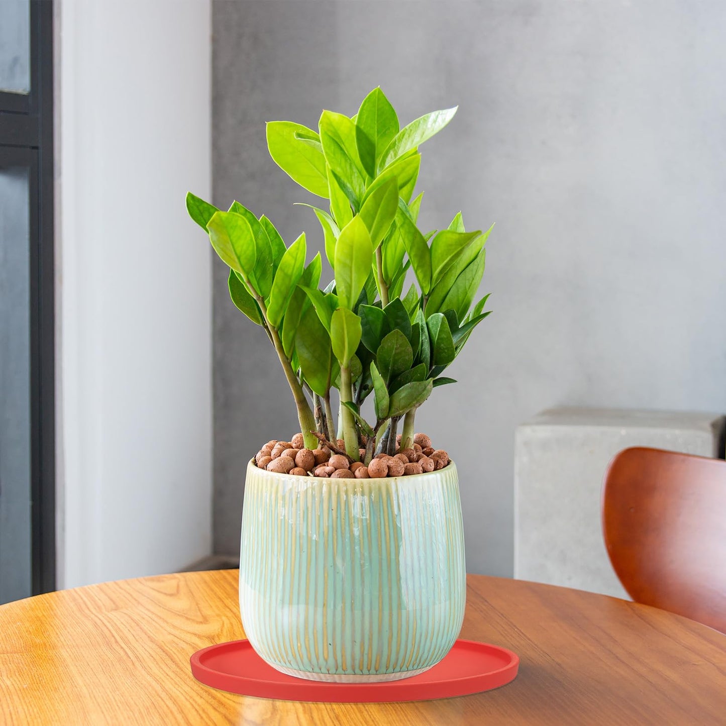 PATIKIL 7.7 Inch Round Ceramic Plant Saucer, Plant Saucer Tray Flower Planter Drip Tray for Indoors Outdoors Patio Balcony, Mint Green